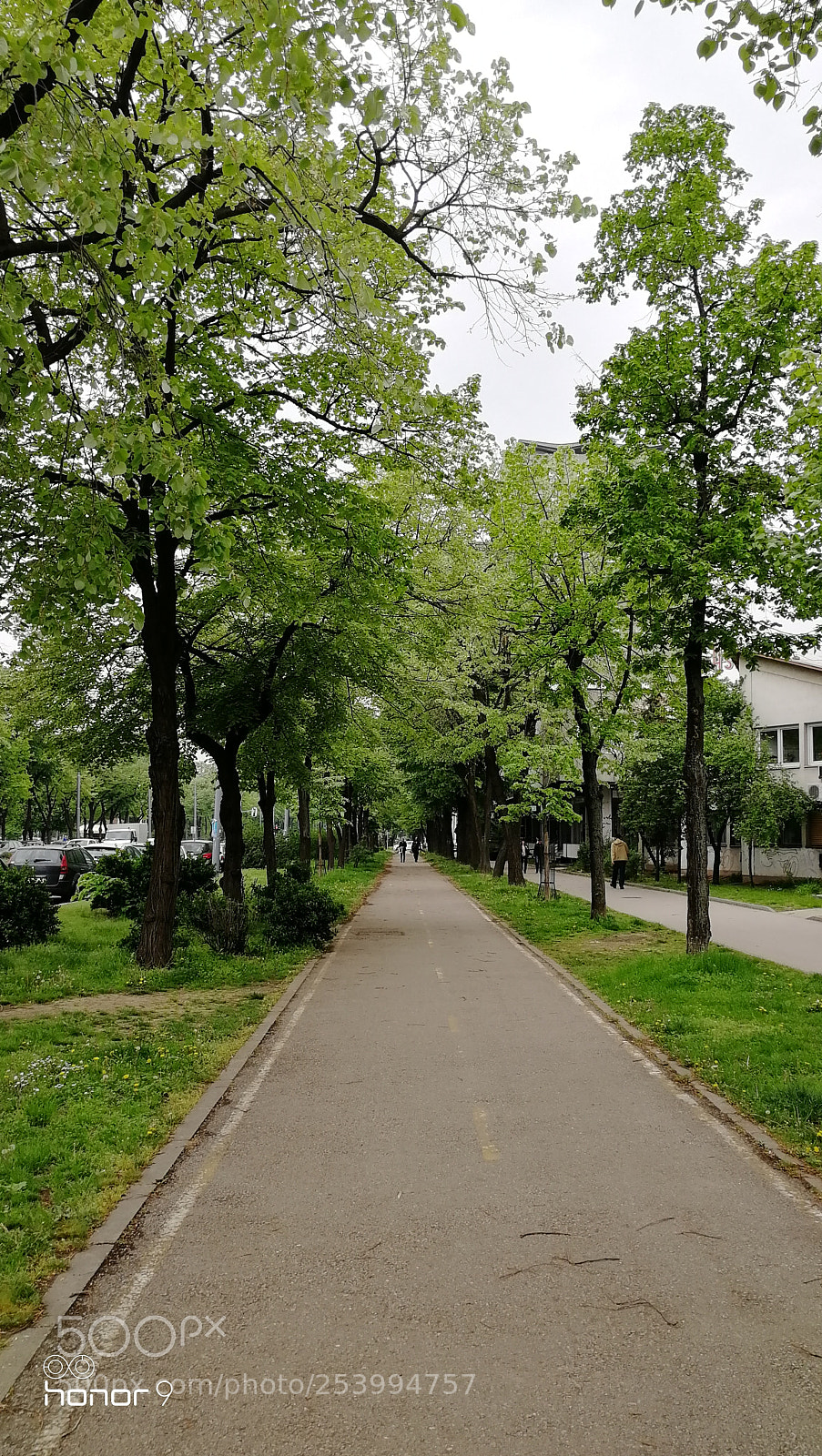 HUAWEI Honor 9 sample photo. Nature photography
