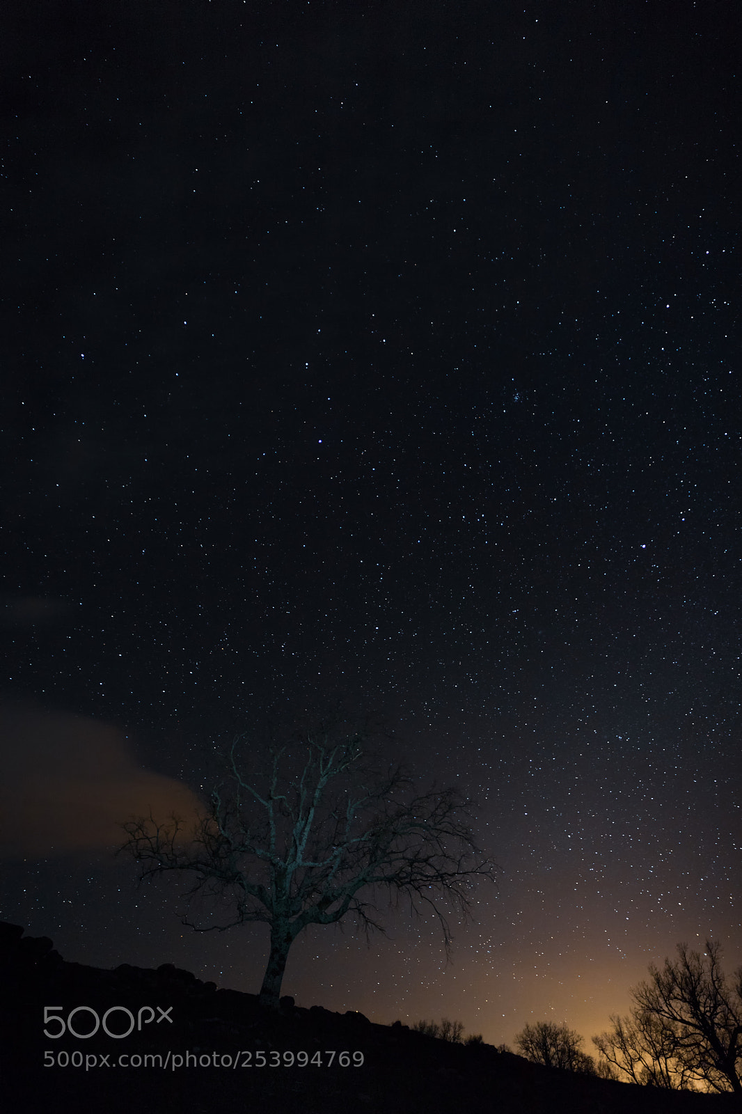 Canon EOS 6D Mark II sample photo. Cabezabellosa  140418-2256 photography
