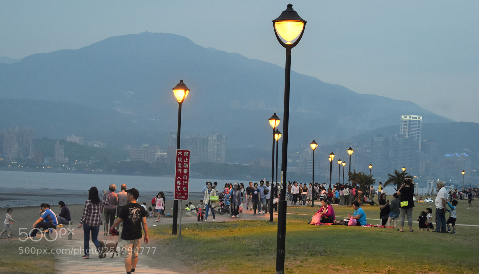 Nikon D5600 sample photo. Lamps.jpg photography