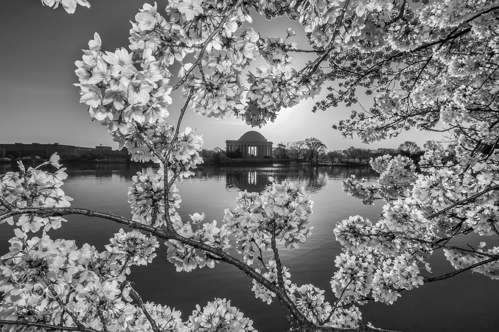 Canon EOS 7D sample photo. Jefferson monochrome photography