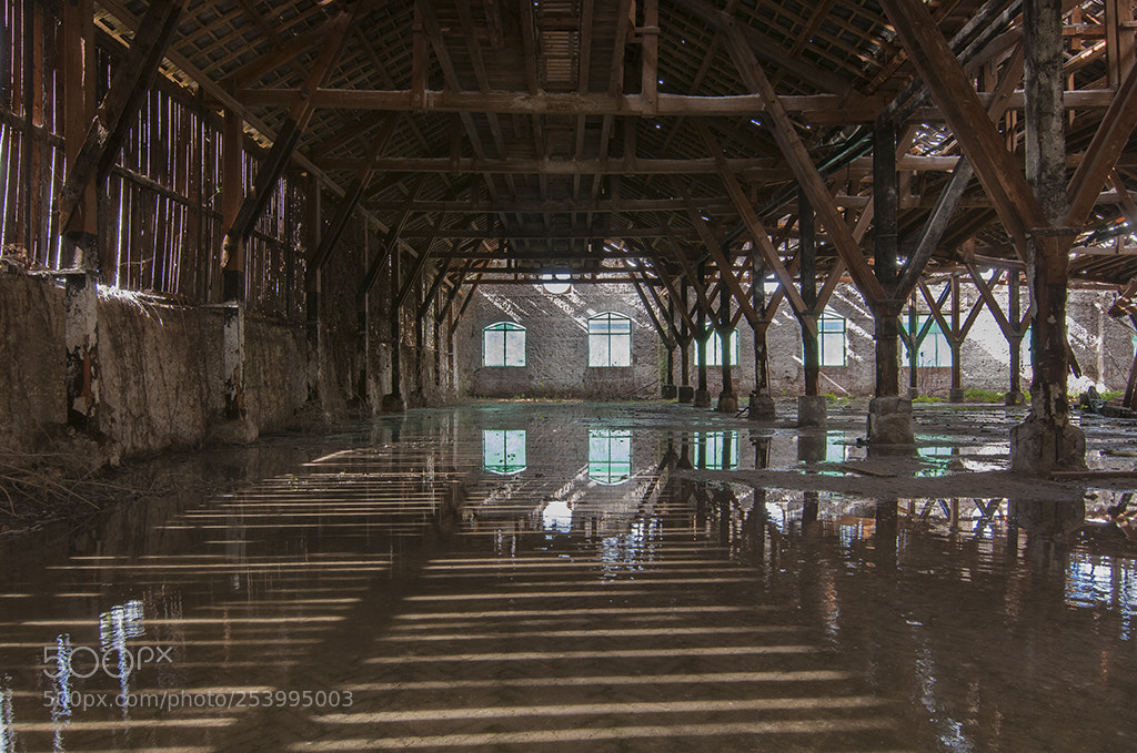 Nikon D300S sample photo. Rivoluzione industriale photography