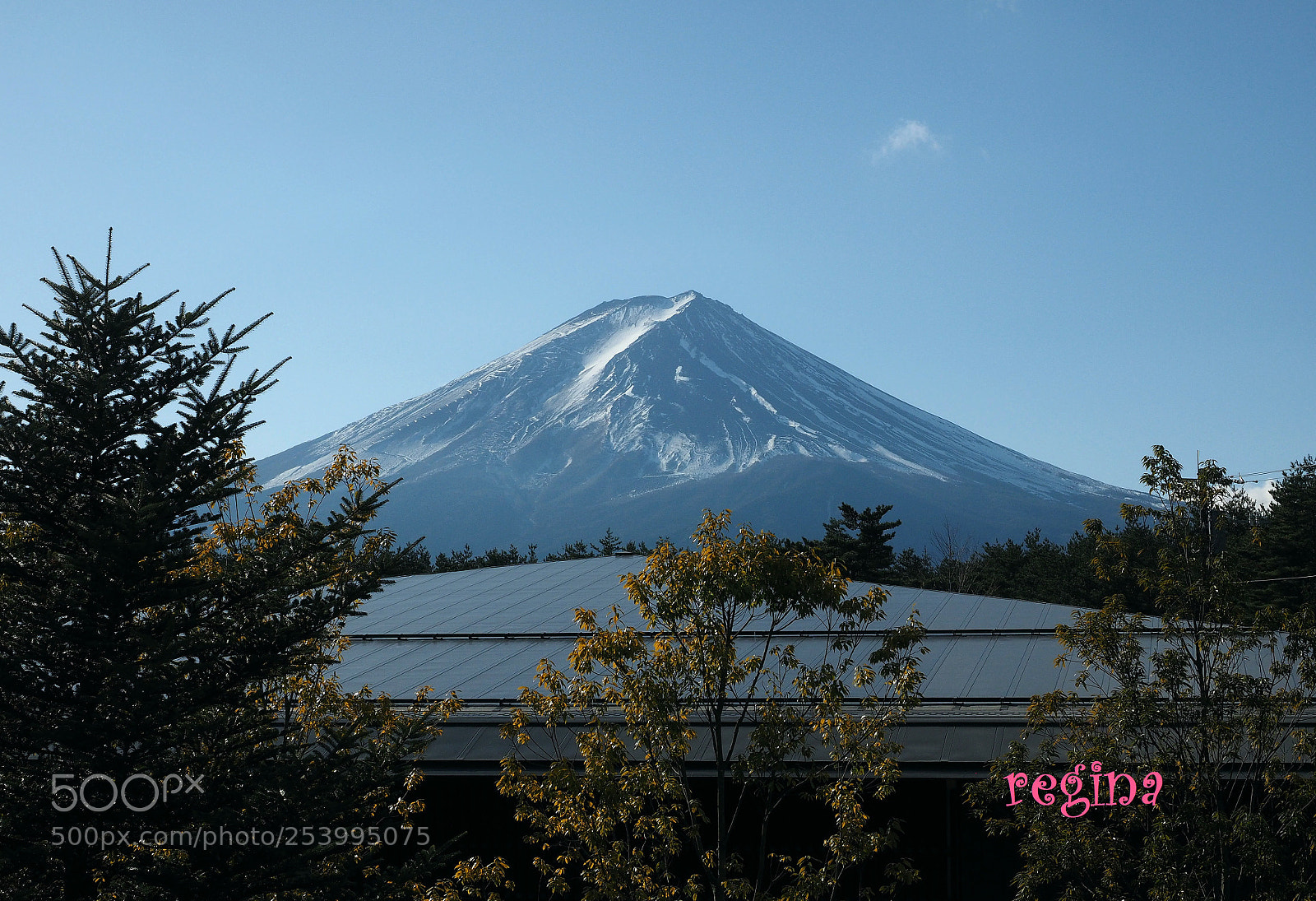 Olympus OM-D E-M1 sample photo. The beauty...mt fuji photography