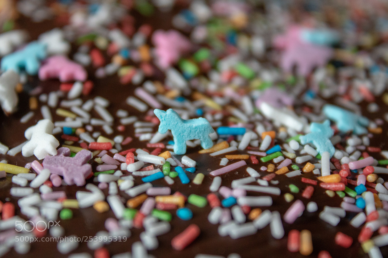 Canon EOS 750D (EOS Rebel T6i / EOS Kiss X8i) sample photo. The last unicorn photography