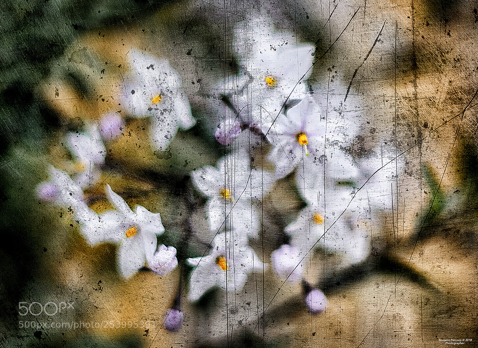 Nikon D700 sample photo. Graffi al cuore photographer photography