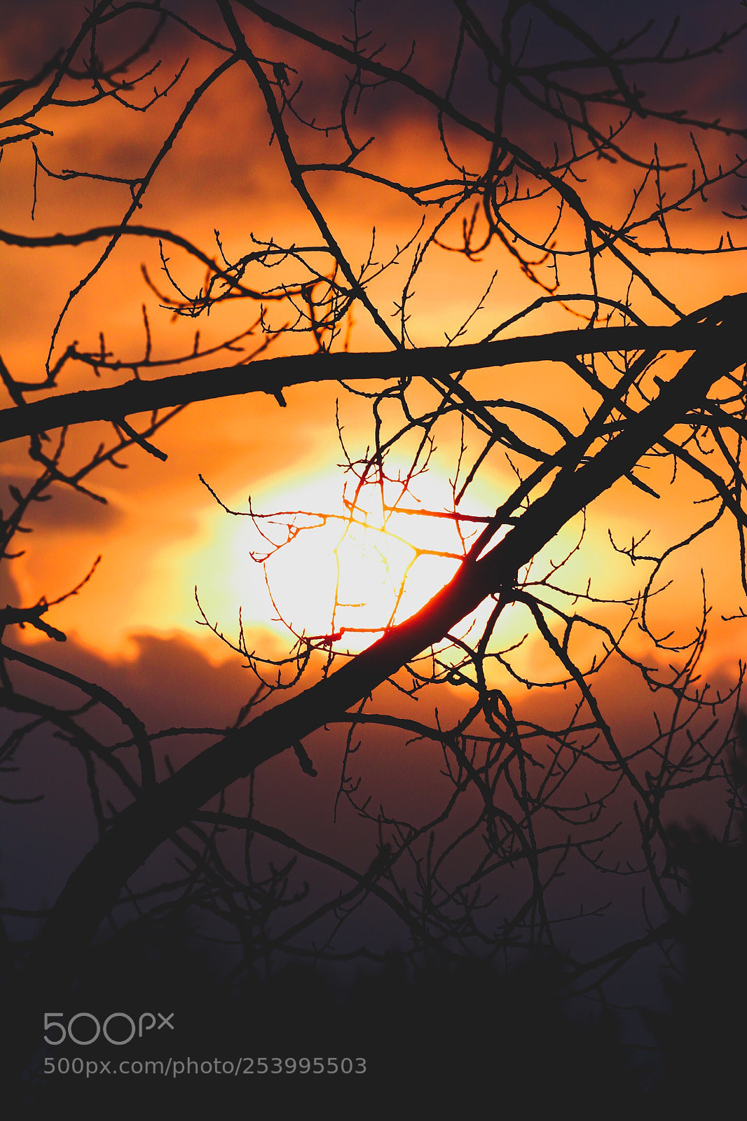 Canon EOS 70D sample photo. Silhouette sunset photography