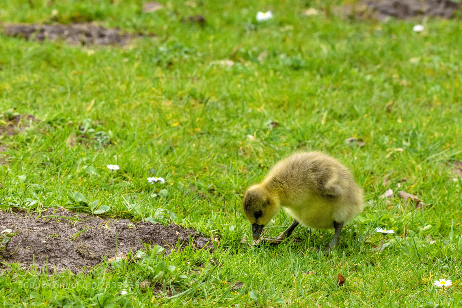 Nikon D3300 sample photo. Dsc_0024 photography