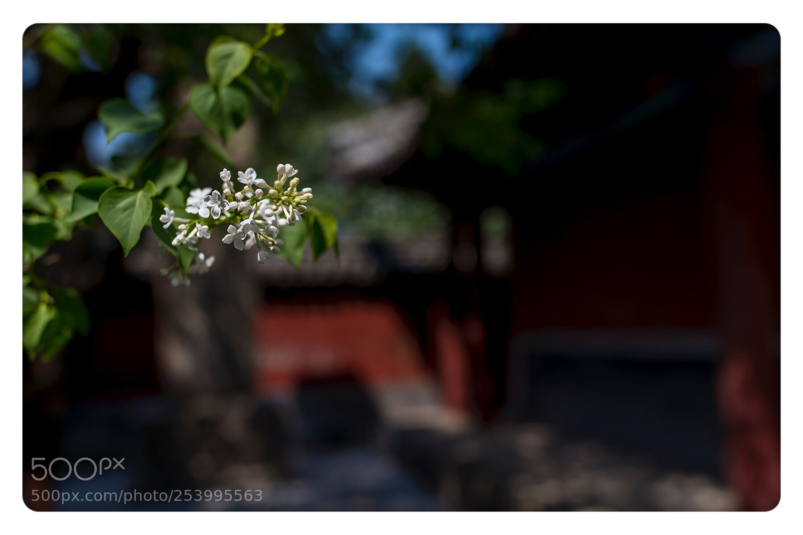 Nikon D800E sample photo. Untitled photography