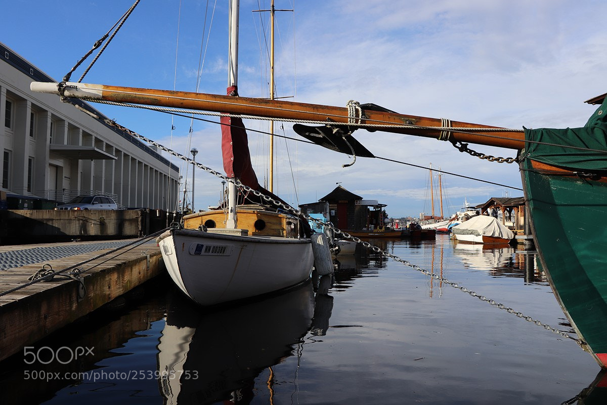 Canon EOS 77D (EOS 9000D / EOS 770D) sample photo. 6369880153.jpg photography