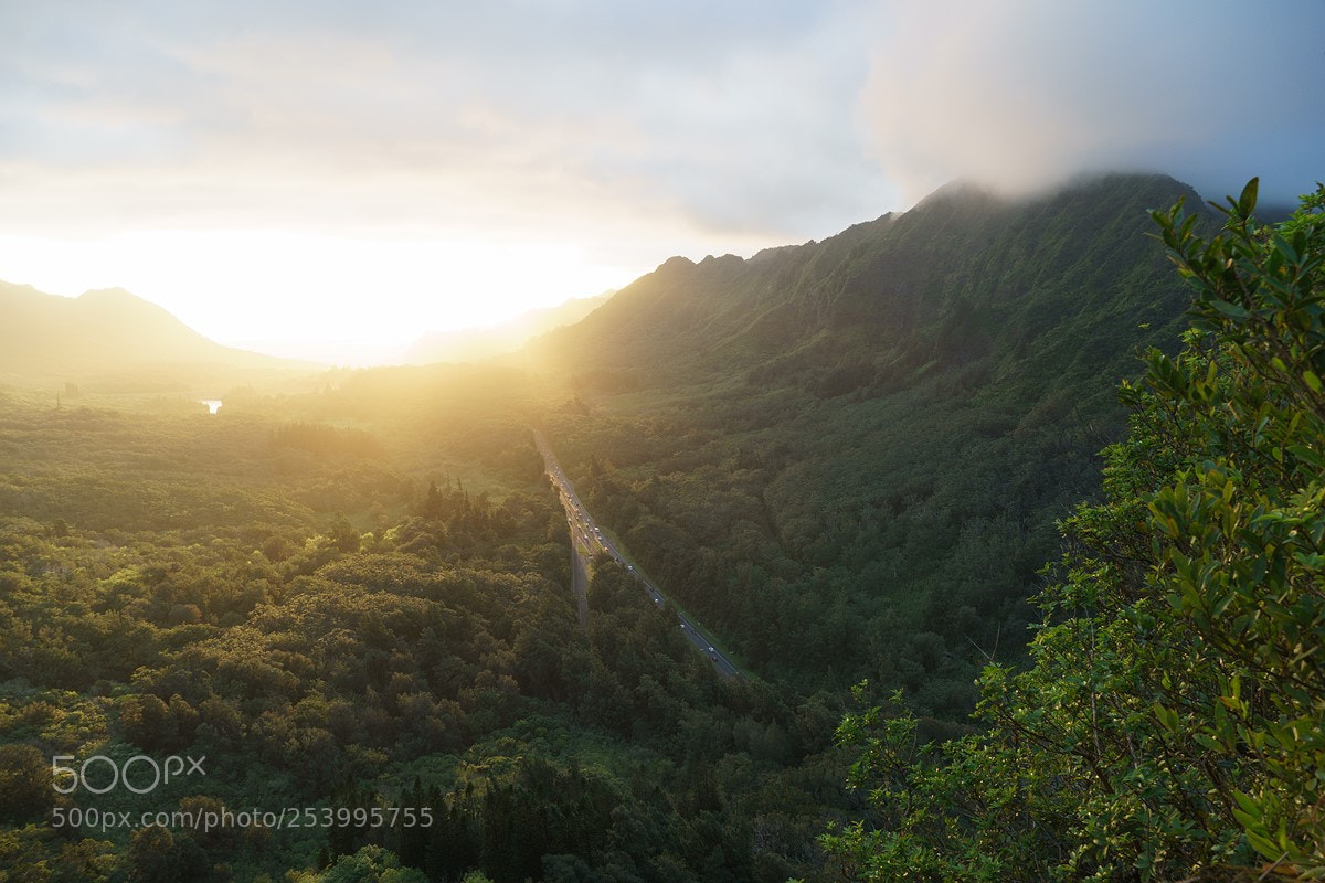 Sony a6500 sample photo. 1708616016.jpg photography