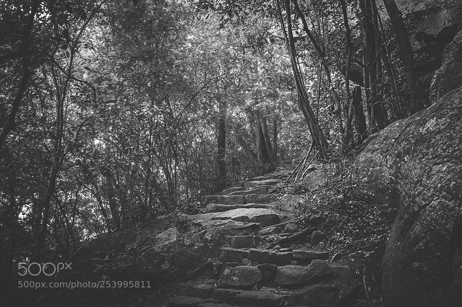 Canon EOS 600D (Rebel EOS T3i / EOS Kiss X5) sample photo. Climbing pidurangala #4 photography