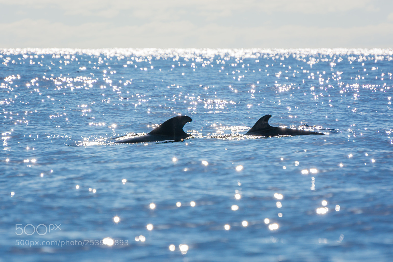 Nikon D7100 sample photo. Azores photography