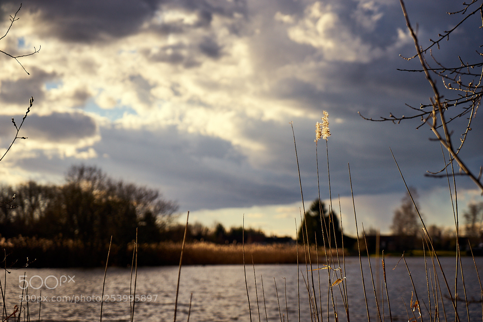 Sony a7 sample photo. Sologne iv - up photography