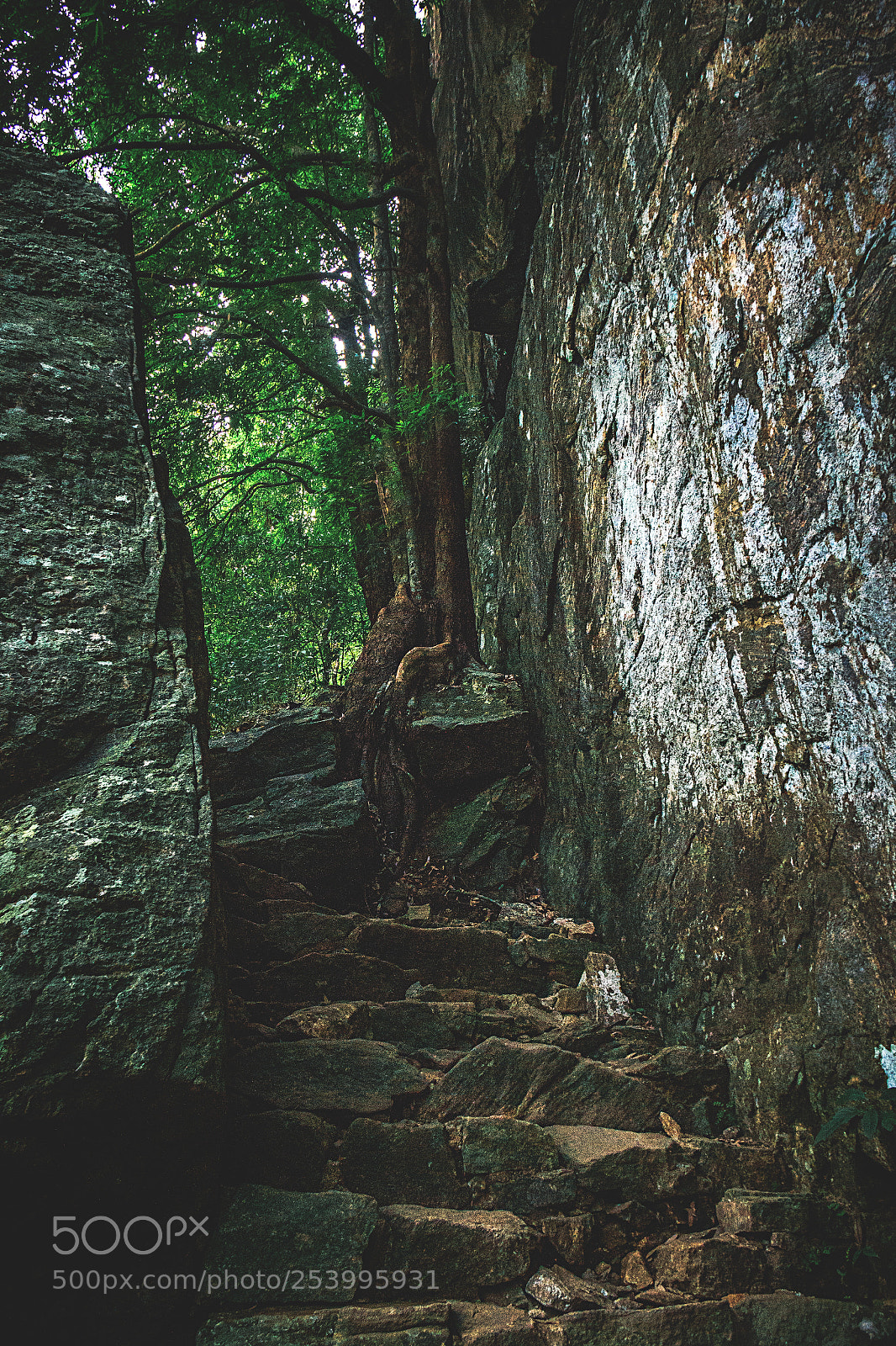Canon EOS 600D (Rebel EOS T3i / EOS Kiss X5) sample photo. Climbing pidurangala #6 photography