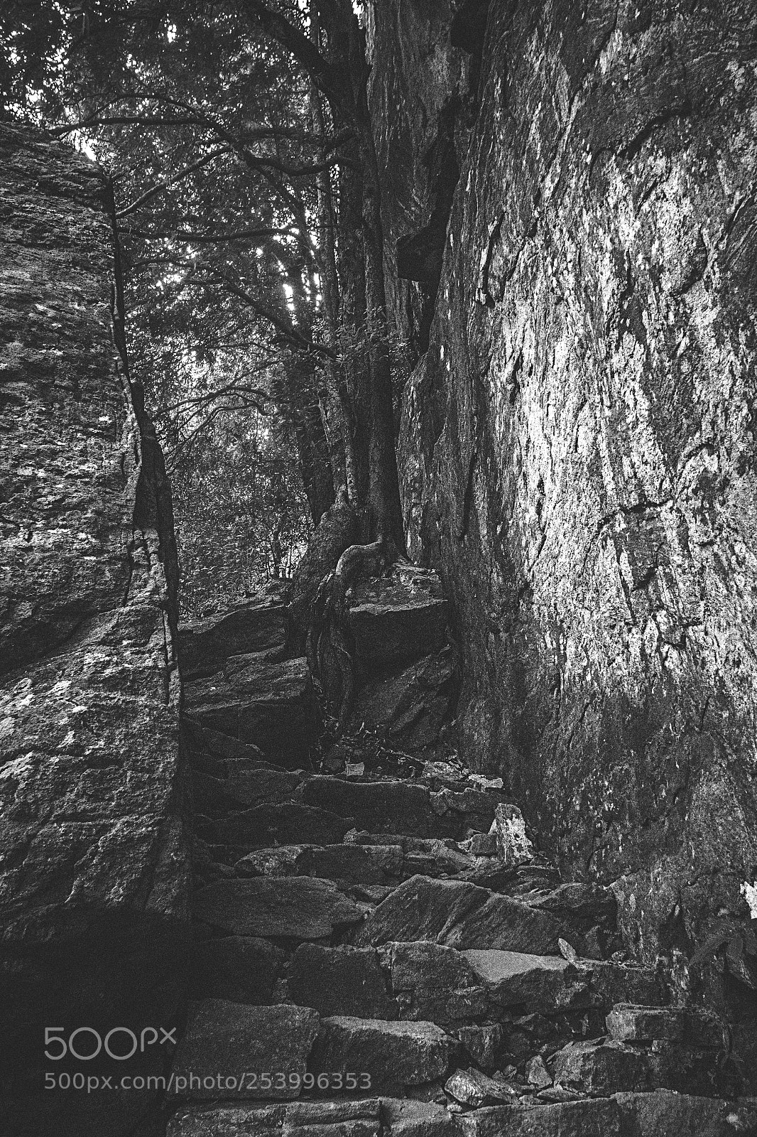 Canon EOS 600D (Rebel EOS T3i / EOS Kiss X5) sample photo. Climbing pidurangala #7 photography
