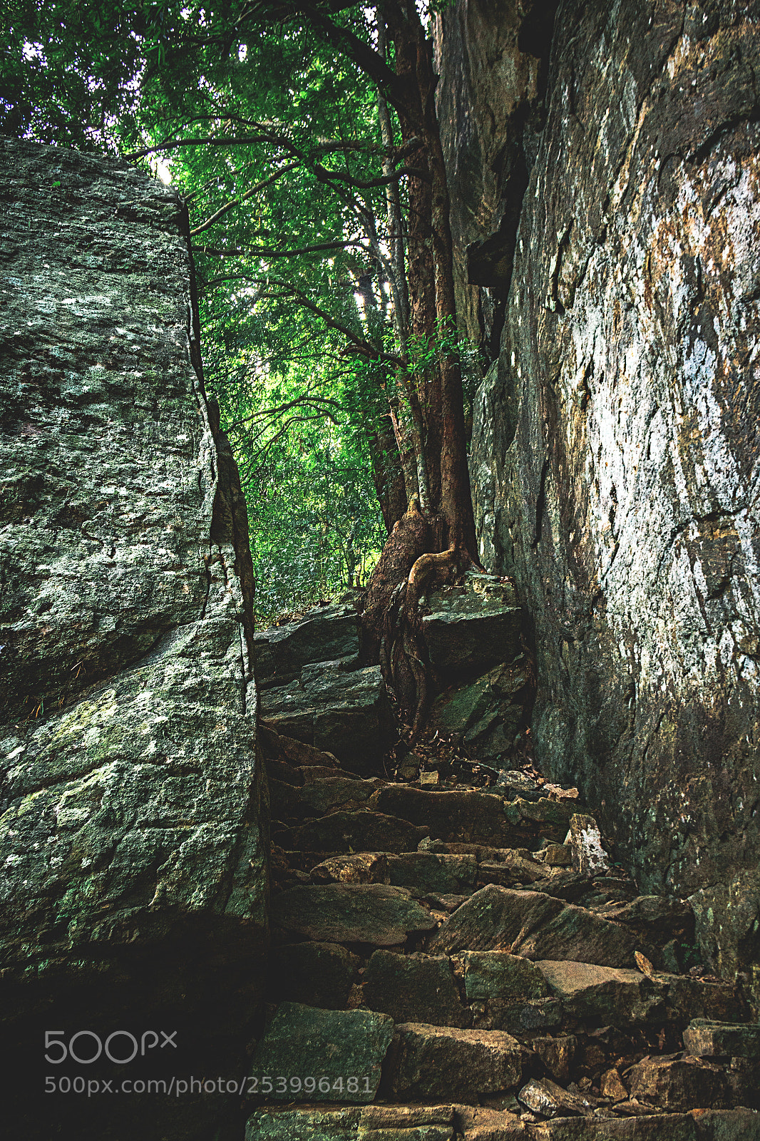 Canon EOS 600D (Rebel EOS T3i / EOS Kiss X5) sample photo. Climbing pidurangala #8 photography
