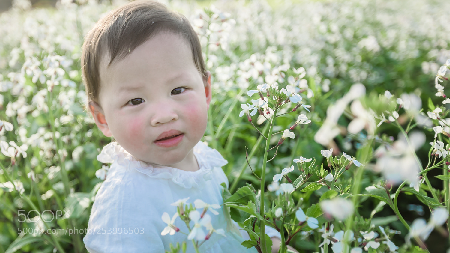 Canon EOS 5D Mark IV sample photo. Untitled photography