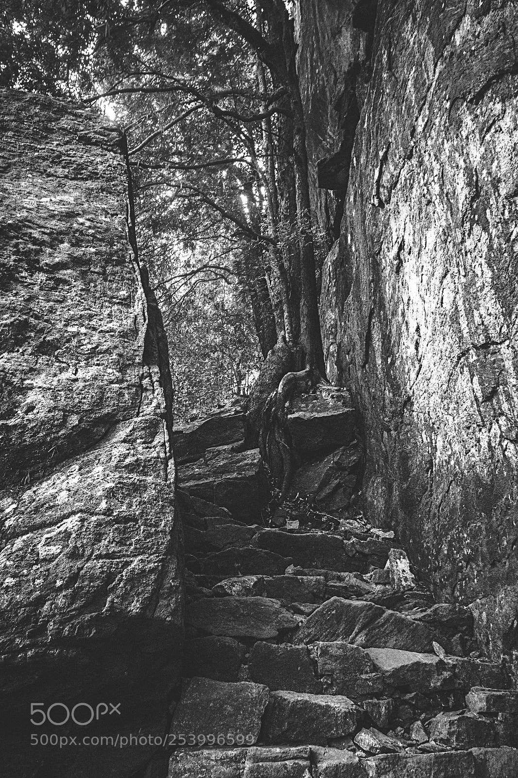 Canon EOS 600D (Rebel EOS T3i / EOS Kiss X5) sample photo. Climbing pidurangala #9 photography