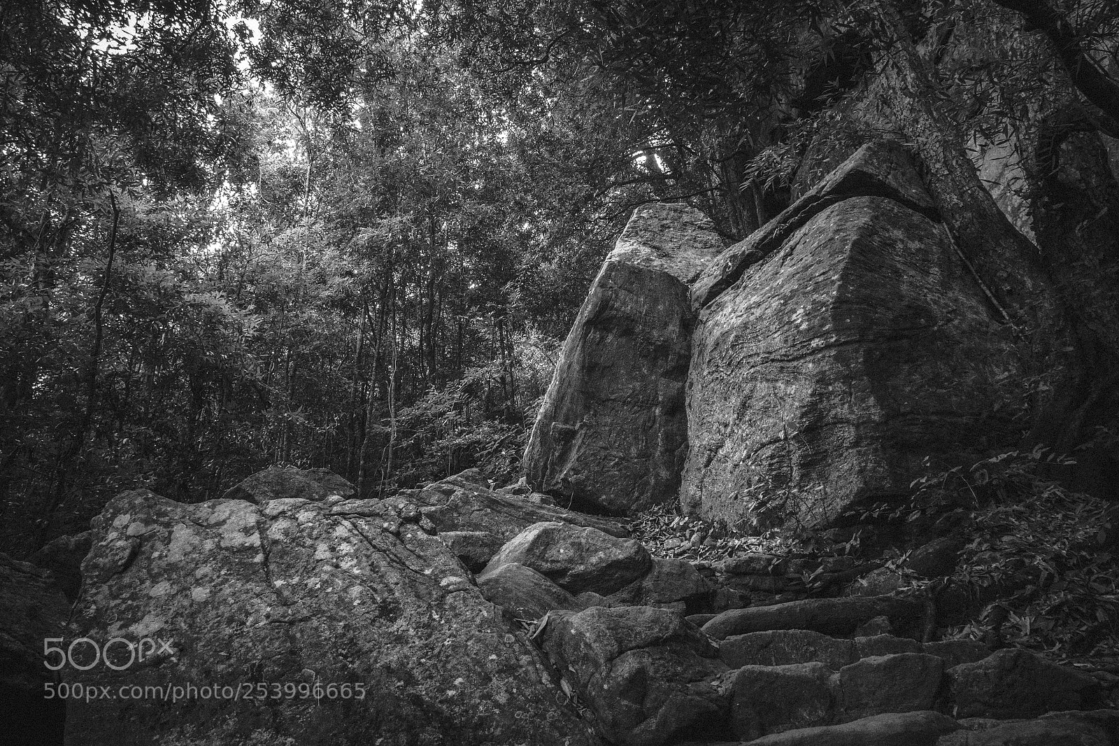 Canon EOS 600D (Rebel EOS T3i / EOS Kiss X5) sample photo. Climbing pidurangala #10 photography