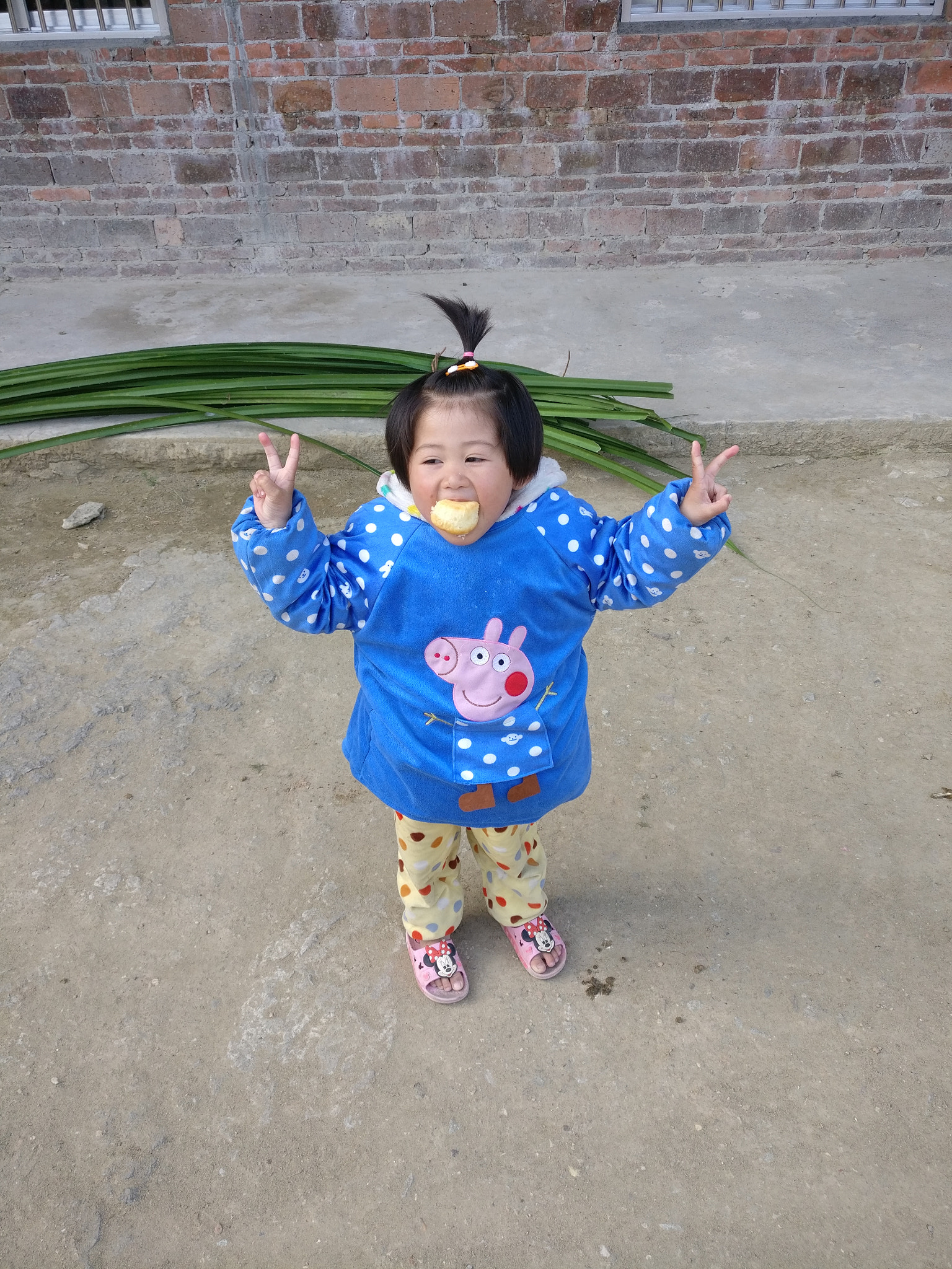 OnePlus A3010 sample photo