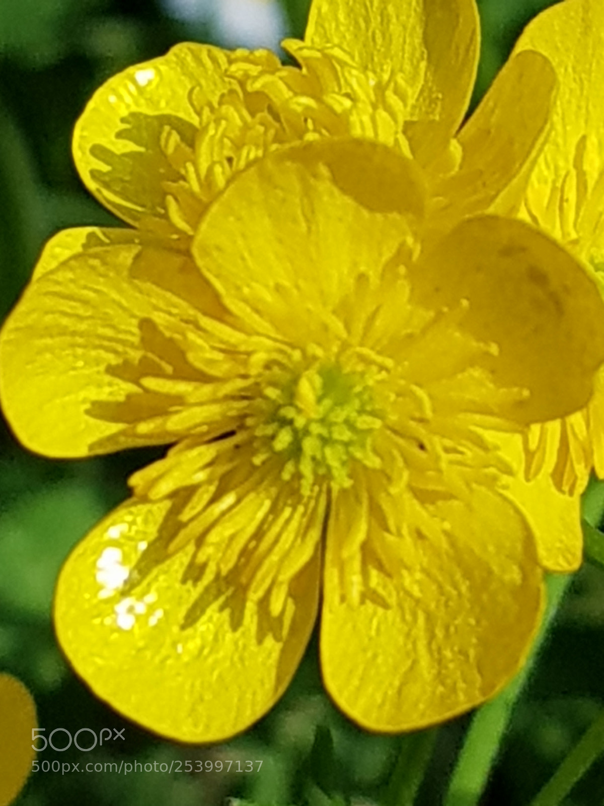 Samsung Galaxy S8 sample photo. Untitled photography