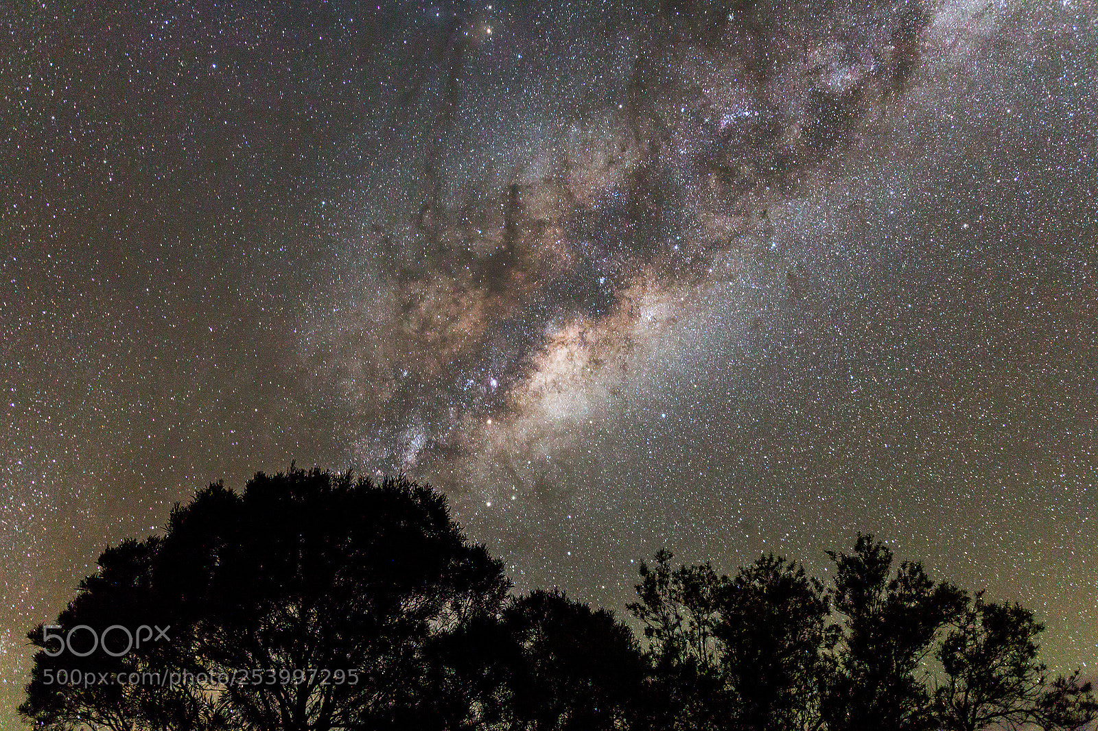 Canon EOS 70D sample photo. Stars photography