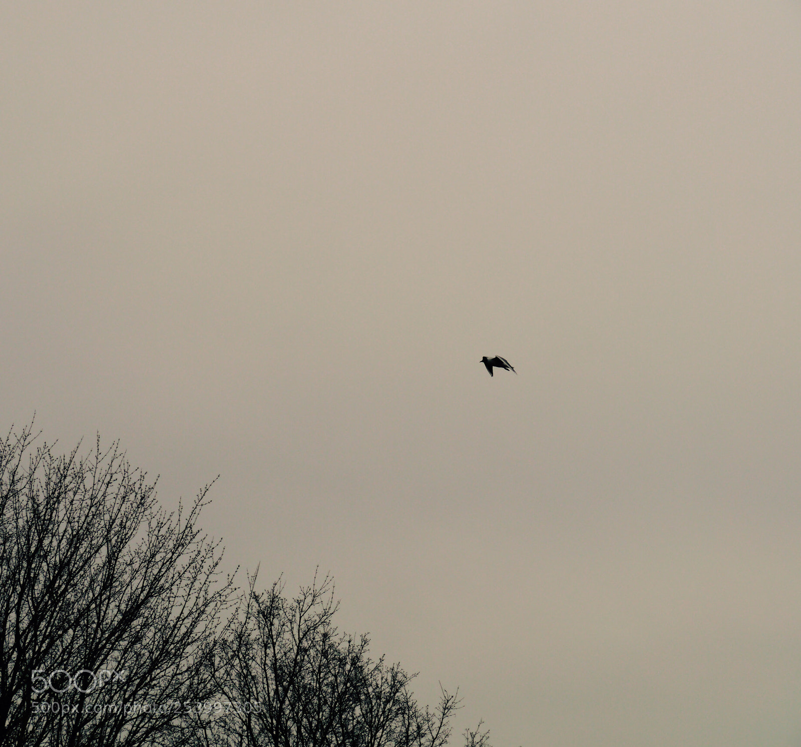 Panasonic Lumix DMC-G3 sample photo. Freedom from all that photography