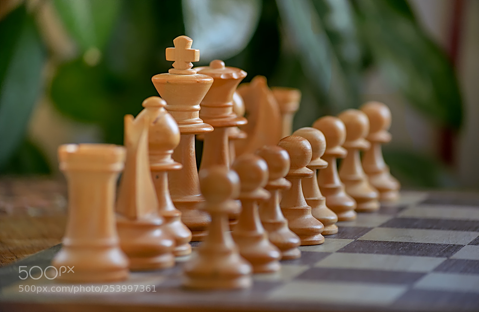 Nikon D5100 sample photo. White chess pieces photography