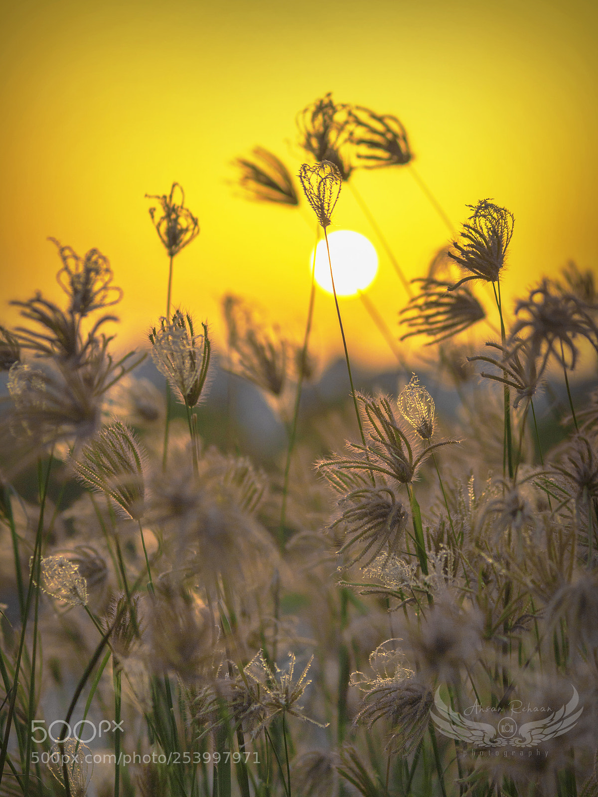 Canon EOS 750D (EOS Rebel T6i / EOS Kiss X8i) sample photo. Beautiful sunset over dubai photography