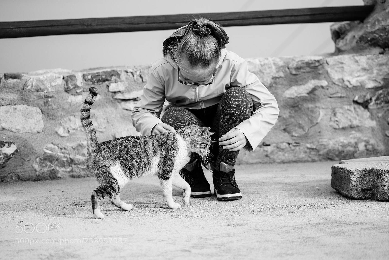 Nikon D800 sample photo. Little fury friend photography