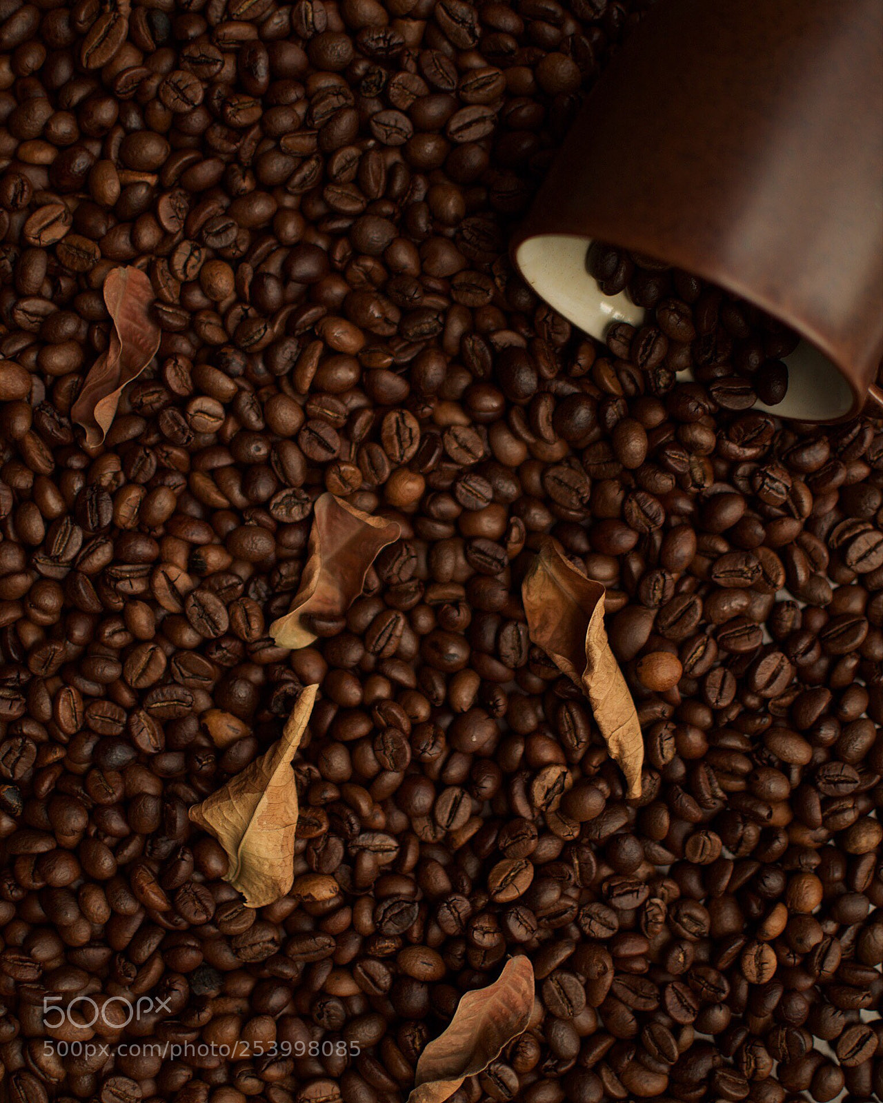 Nikon D5100 sample photo. The coffee project photography