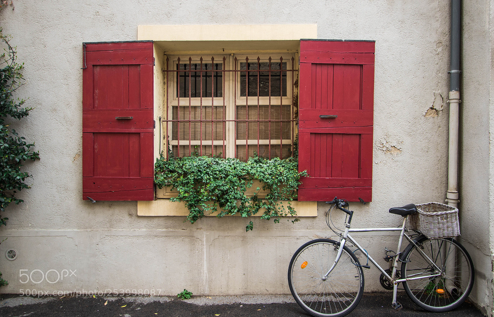 Canon EOS 7D Mark II sample photo. Let's flee away photography