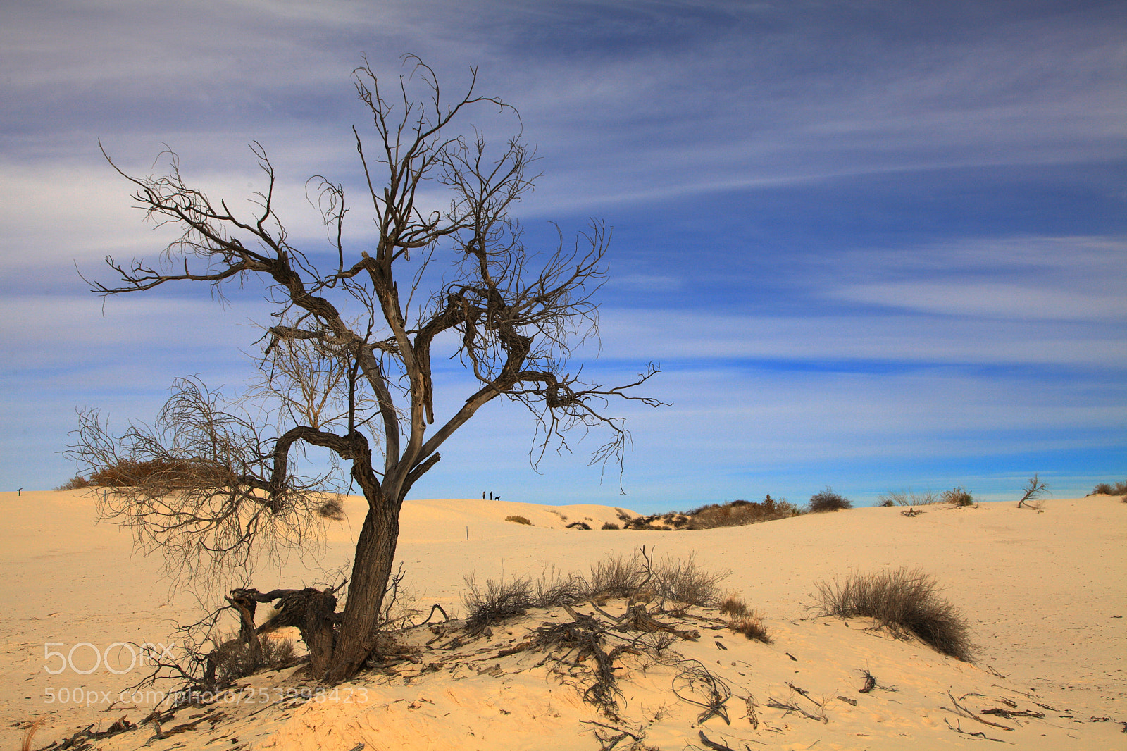 Canon EF 24-105mm F4L IS USM sample photo. Alone in desert photography
