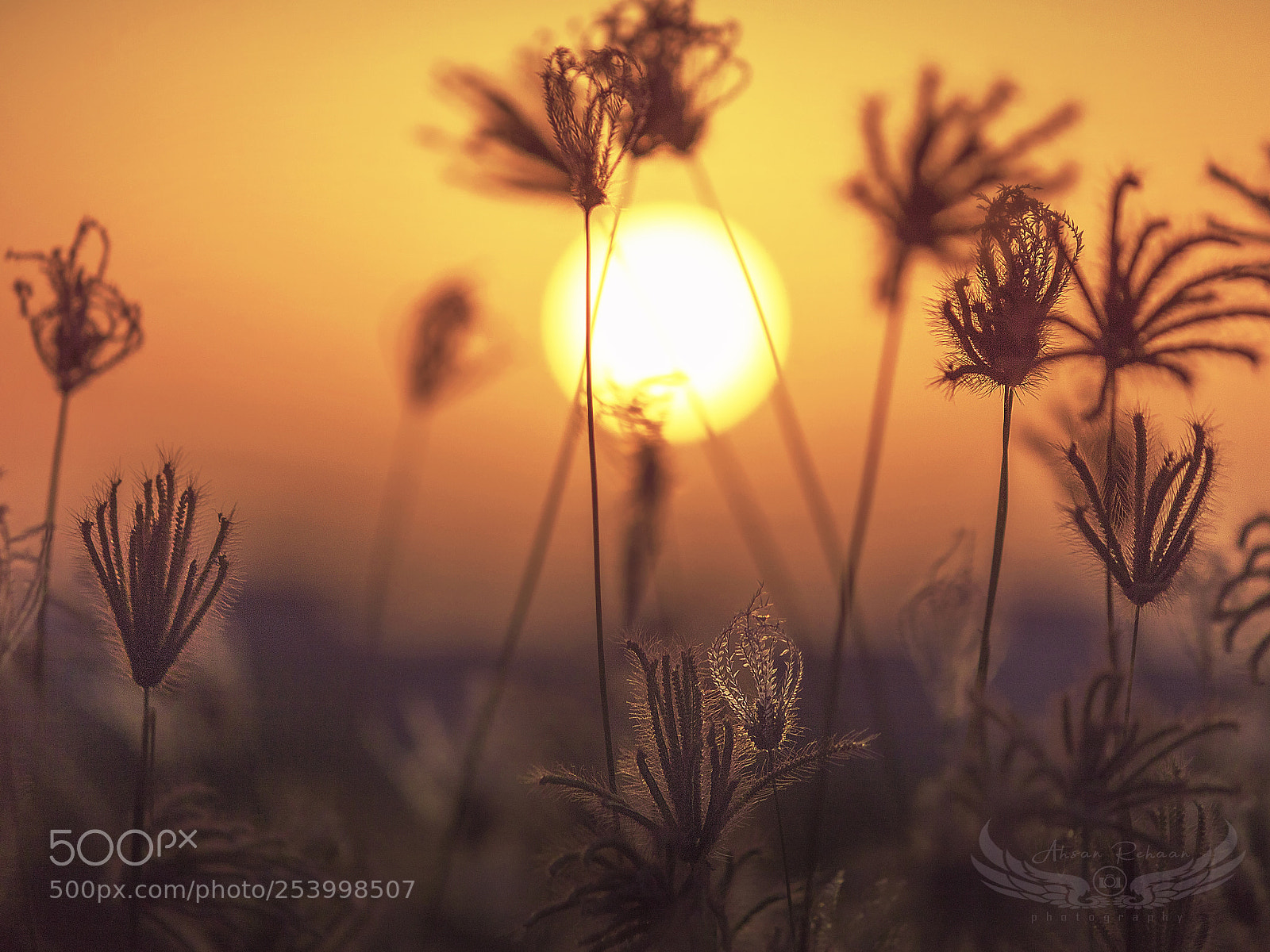 Canon EOS 750D (EOS Rebel T6i / EOS Kiss X8i) sample photo. Sunset photography