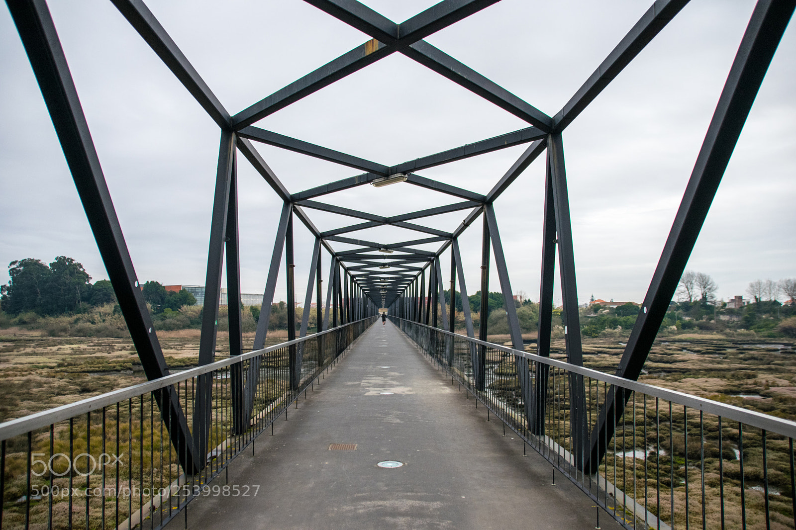 Nikon D5300 sample photo. Bridge photography