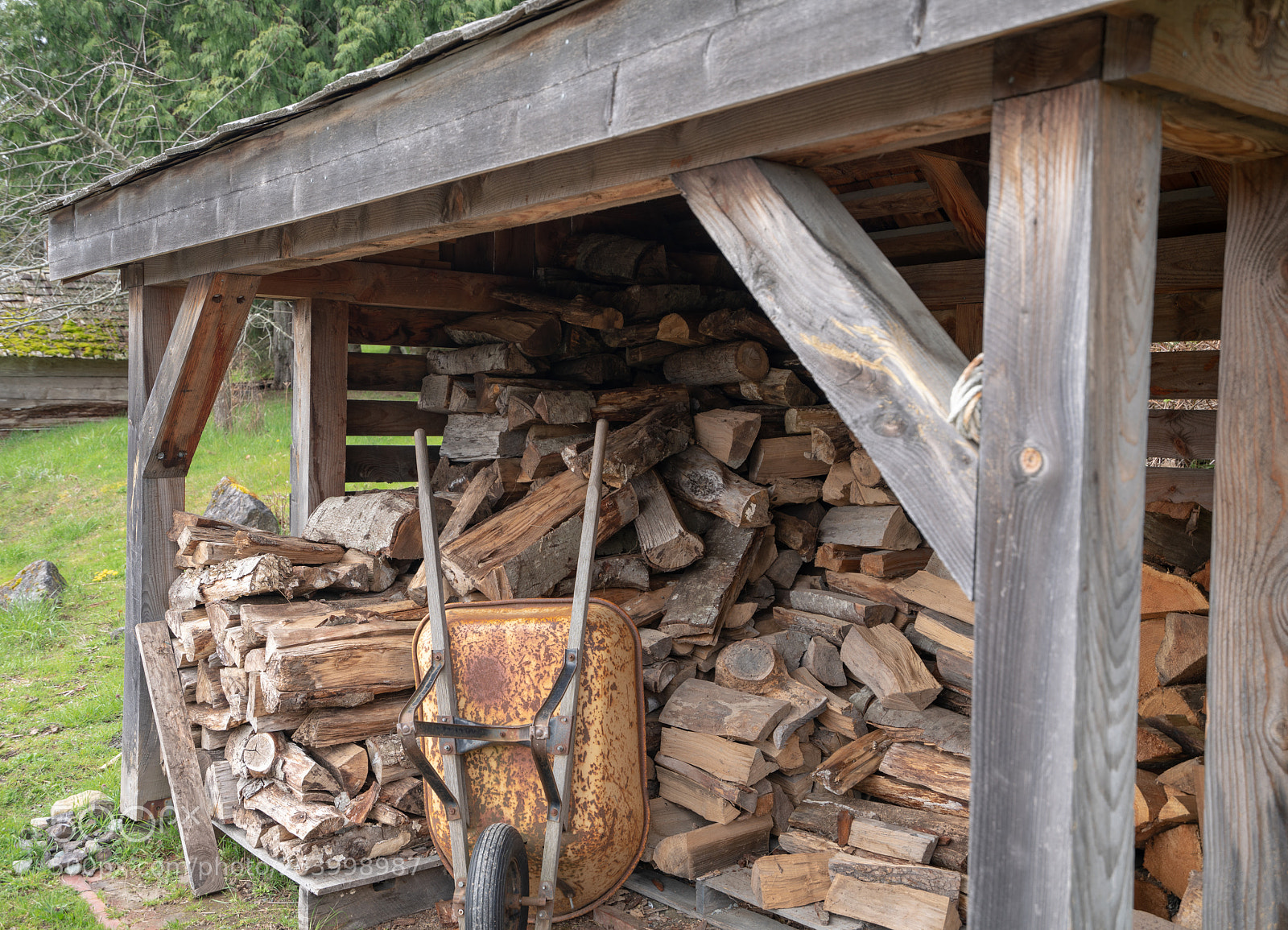 Sony a7R III sample photo. Woodshed photography