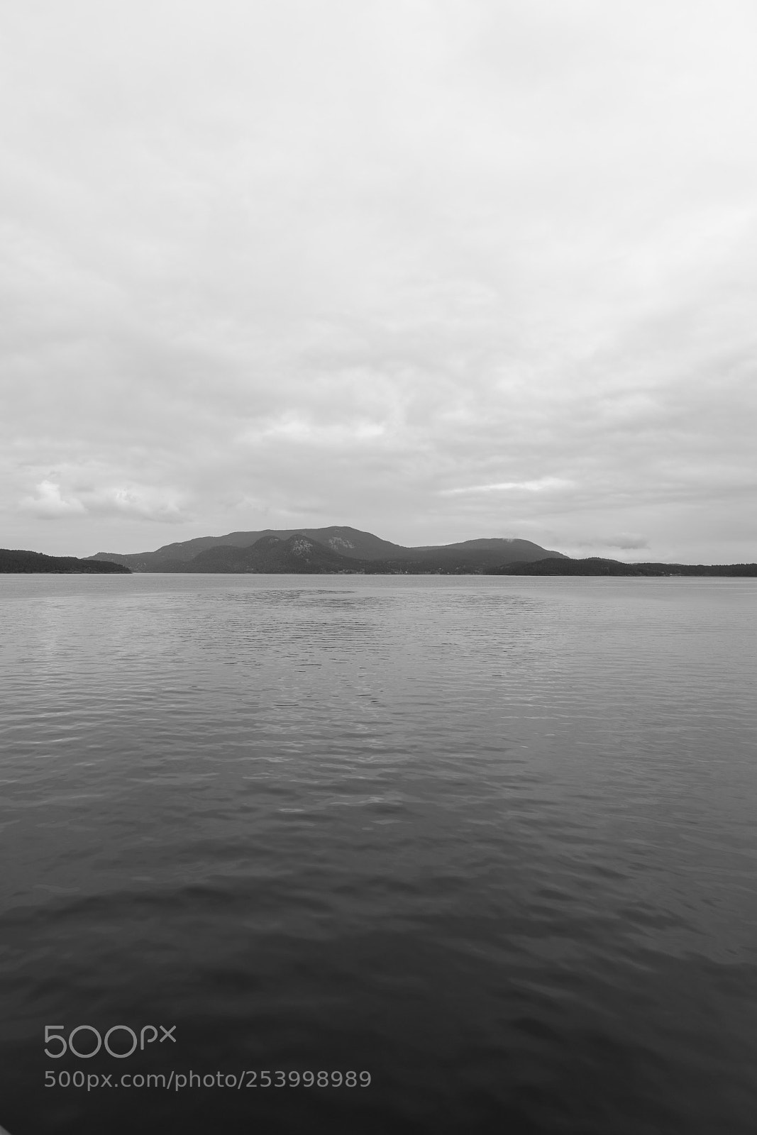 Sony a7R III sample photo. Orcas islan trip photography
