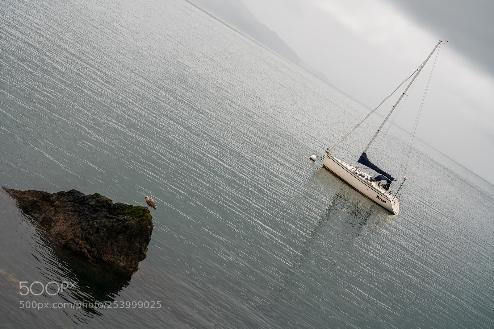 Sony a7R III sample photo. Boat and bird photography