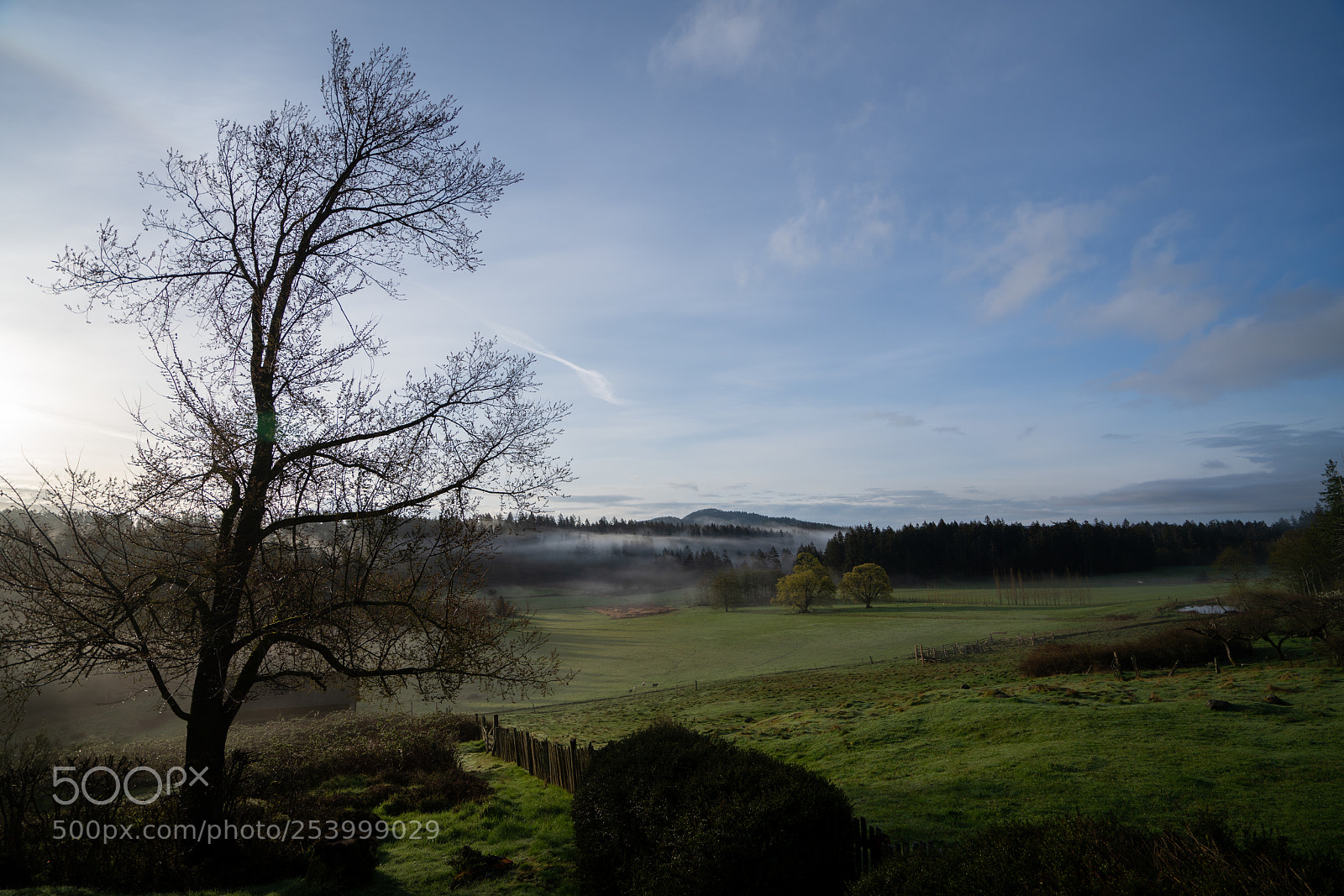 Sony a7R III sample photo. Fog over the farm photography