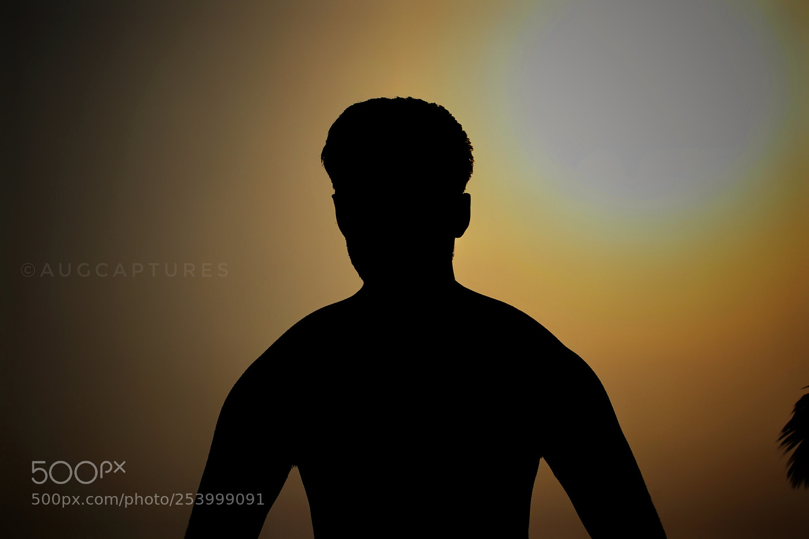 Canon EOS 80D sample photo. Silhouette photography