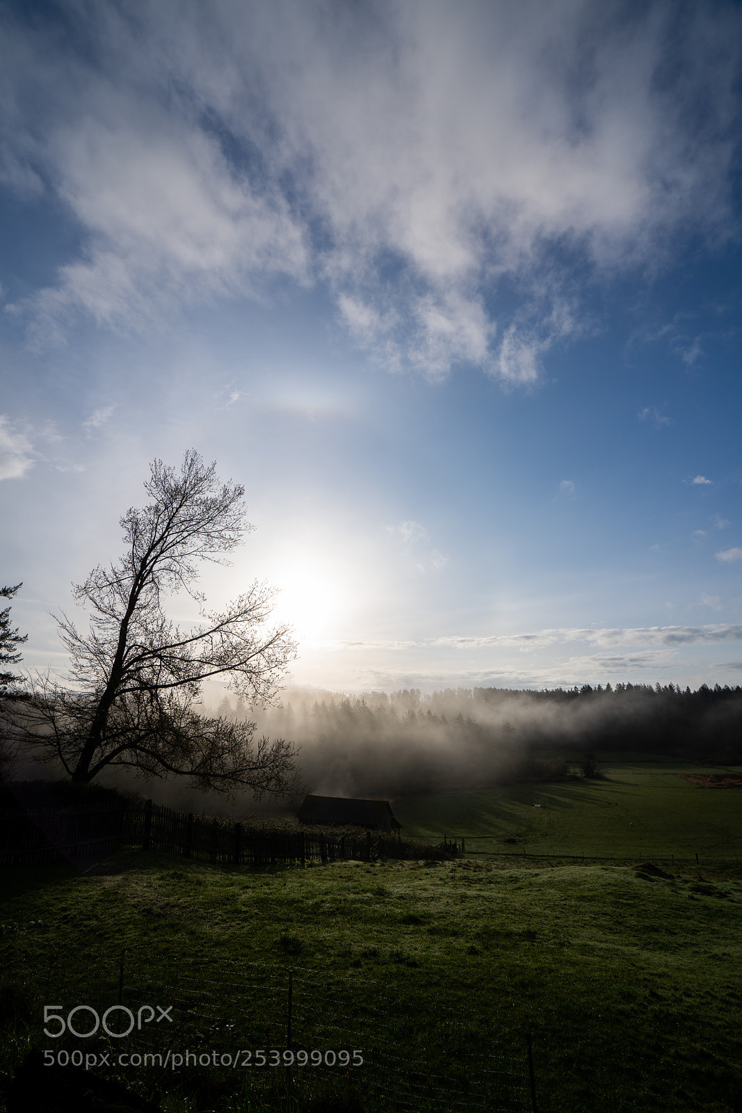 Sony a7R III sample photo. Steamy sunrize photography