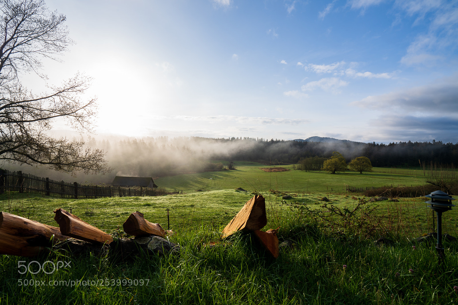 Sony a7R III sample photo. Split wood in a photography