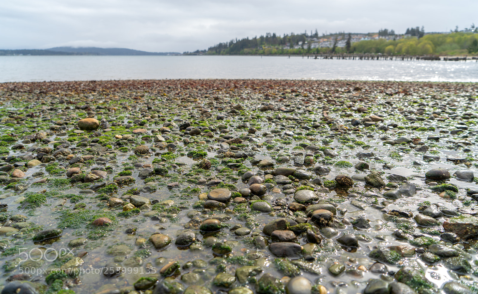 Sony a7R III sample photo. Rocks on the beach photography