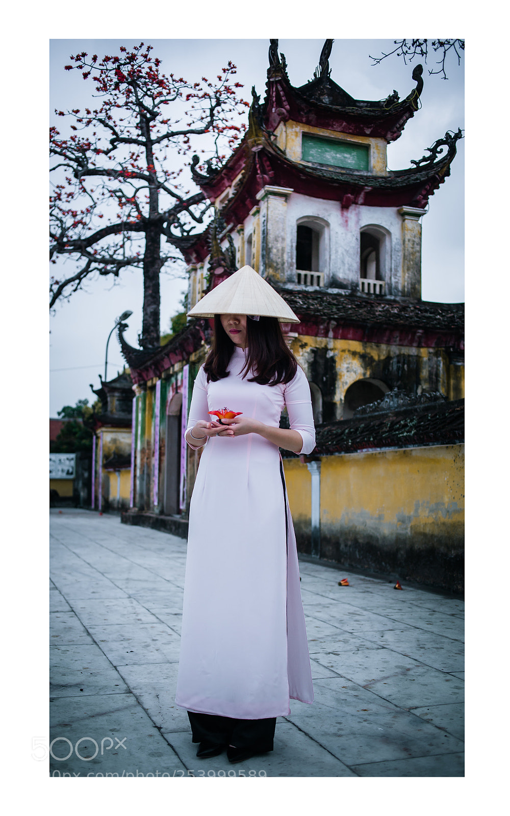 Canon EOS 5D Mark II sample photo. Gao photography