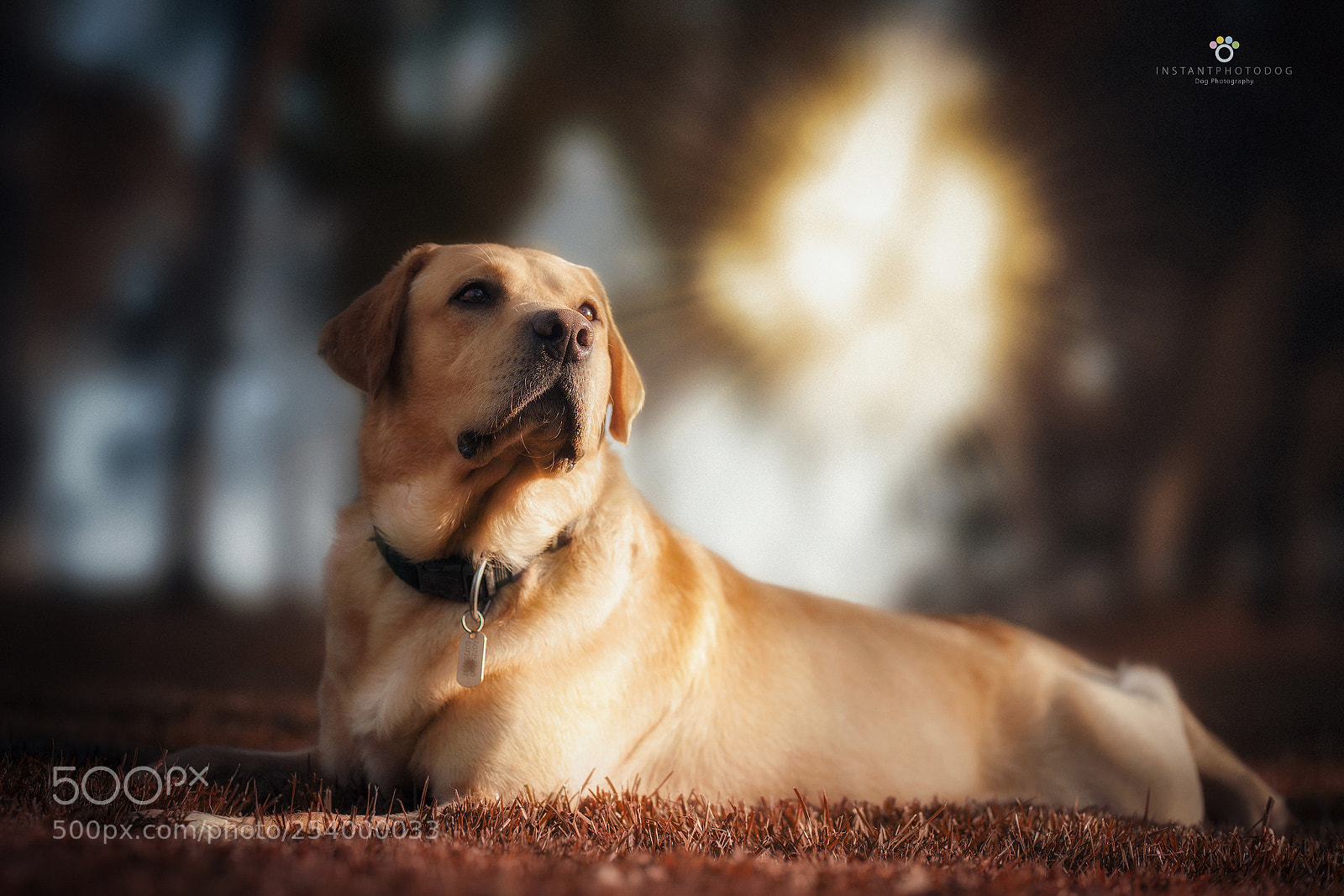 Canon EOS 6D Mark II sample photo. Lope photography