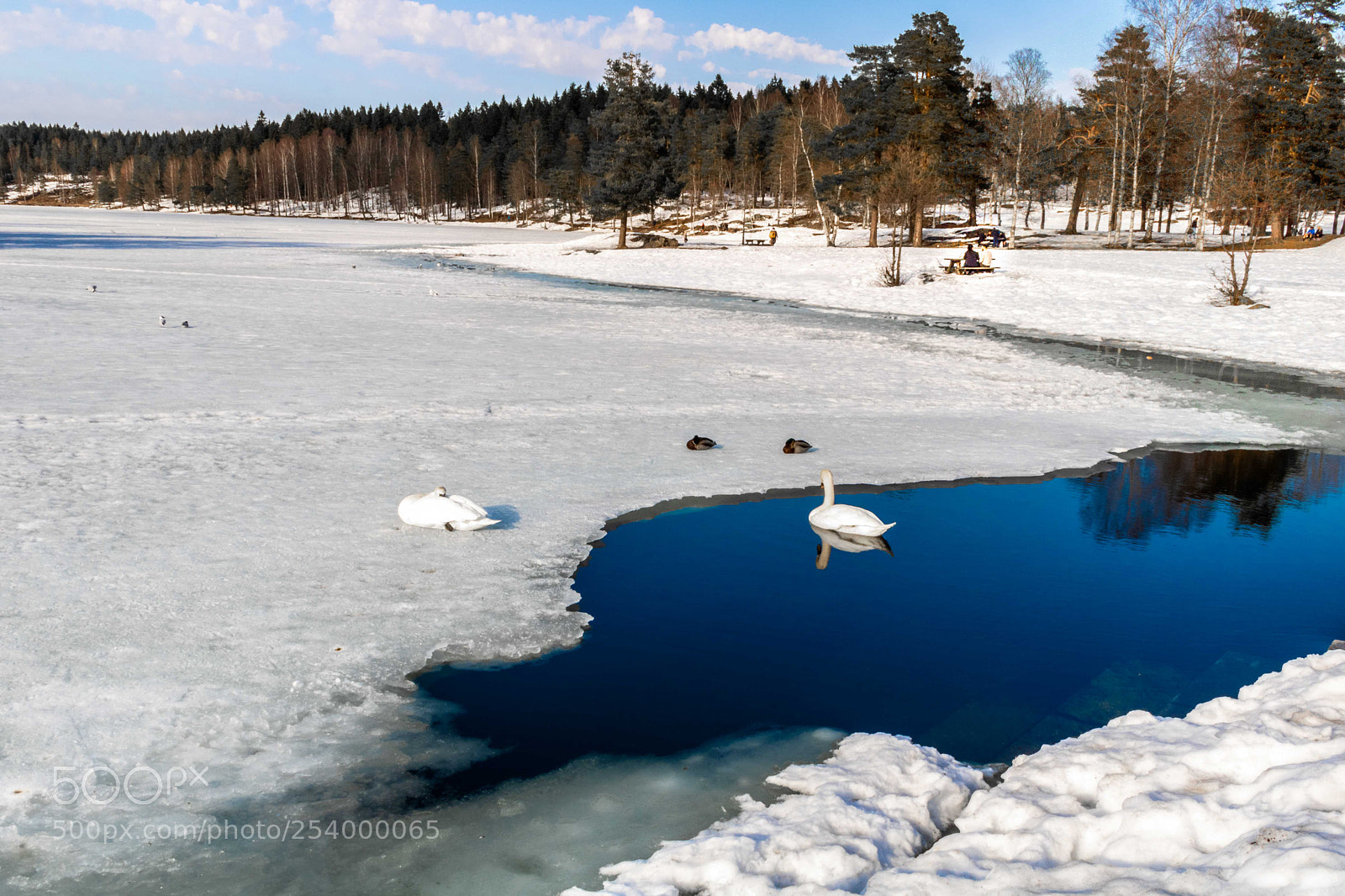 Canon EOS 750D (EOS Rebel T6i / EOS Kiss X8i) sample photo. Sognsvann photography
