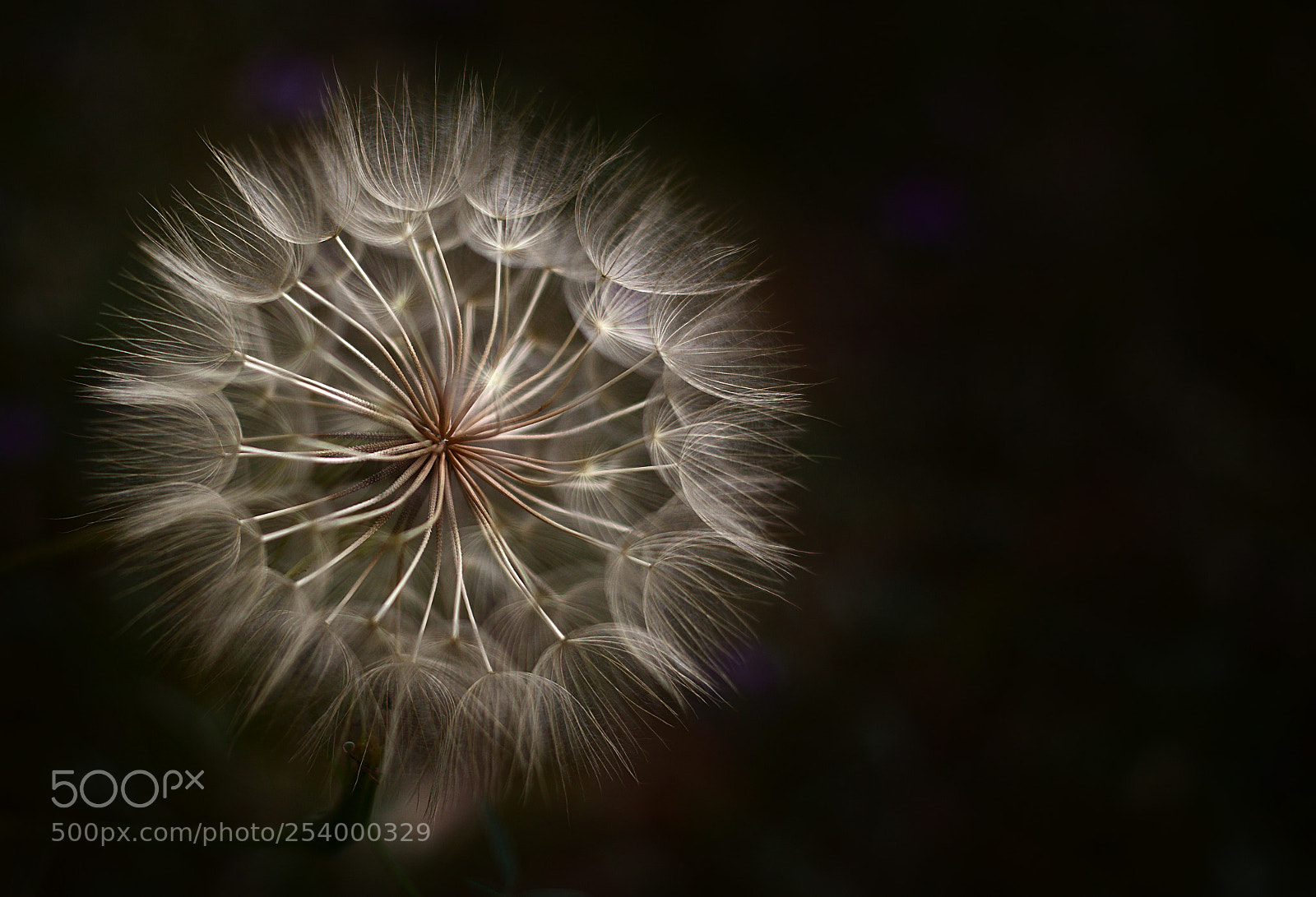 Canon EOS 6D + Canon EF 50mm F1.4 USM sample photo. Nature marvels... photography