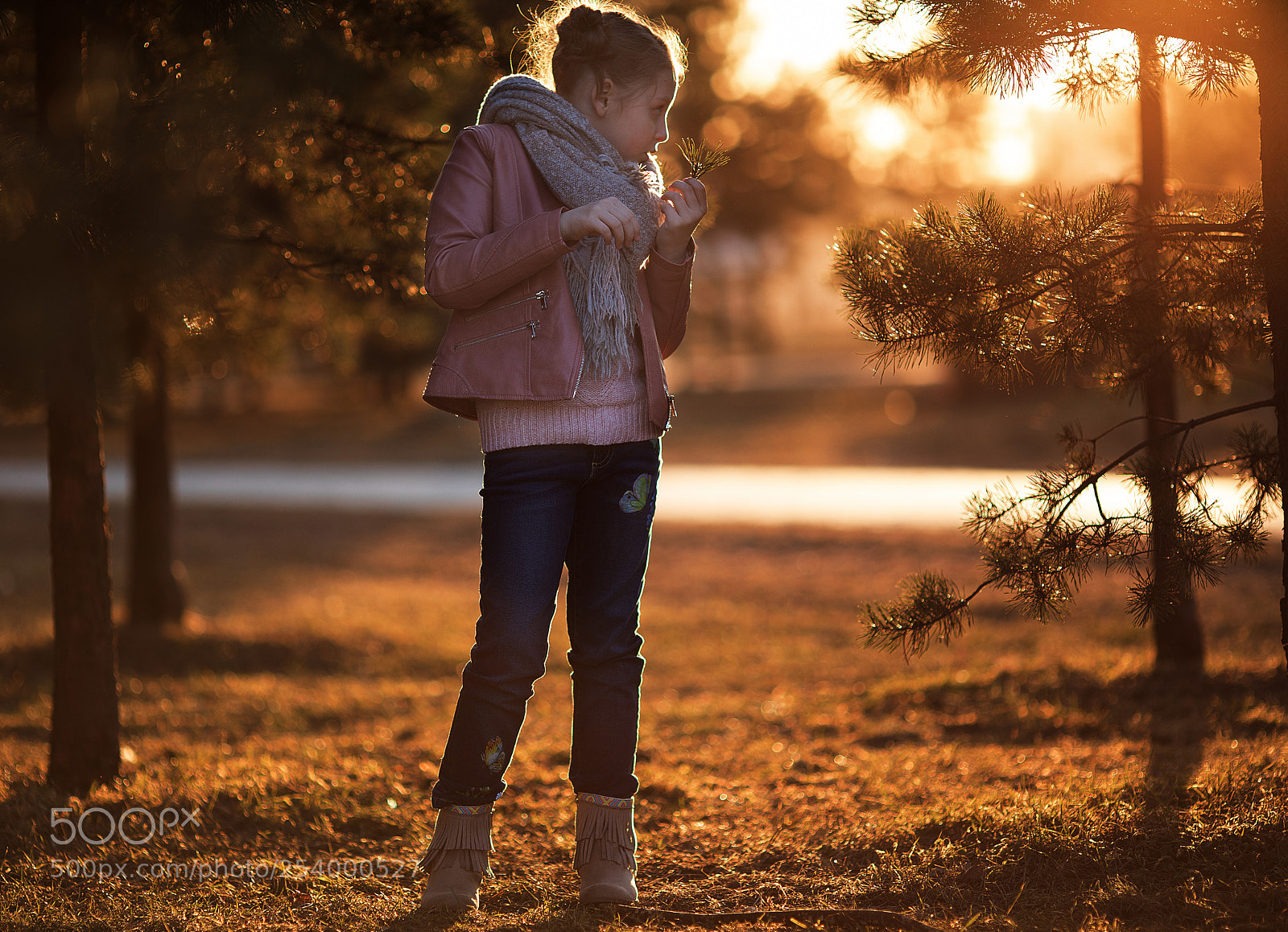 Canon EOS 5D Mark IV sample photo. Sun photography