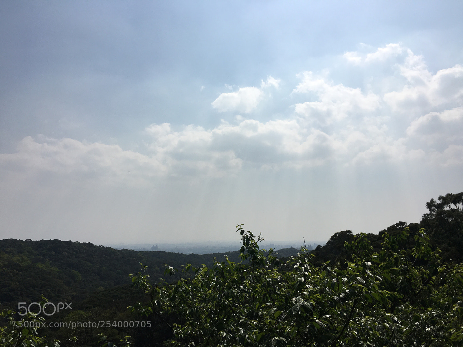 Apple iPhone 6s Plus sample photo. Untitled photography