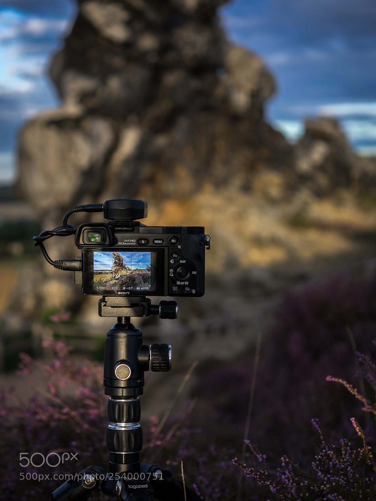 Sony a7 II sample photo. Teufelsmauer im harz photography