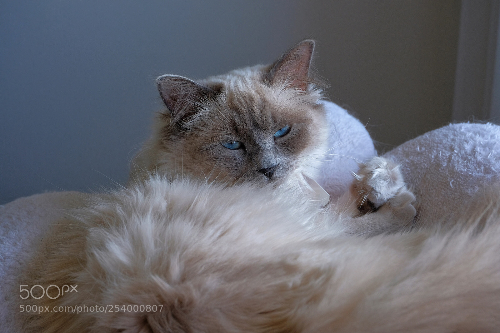 Fujifilm X-T2 sample photo. Untitled photography